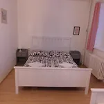 Penzion Kovarska