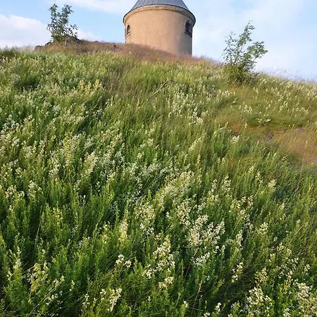 Penzion Kovarska Гостевой дом