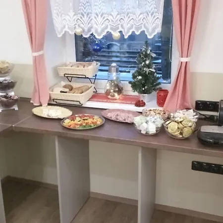 Guest house Penzion Kovarska Kovarska